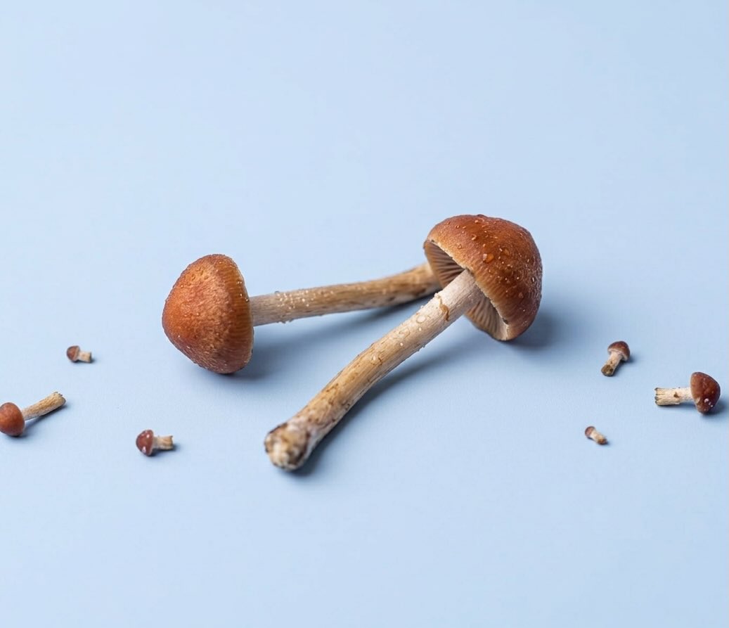 Psilocybin